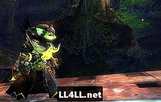 & lbrack; GW2 Fashion & rsqb; Cat'ching the Ravies